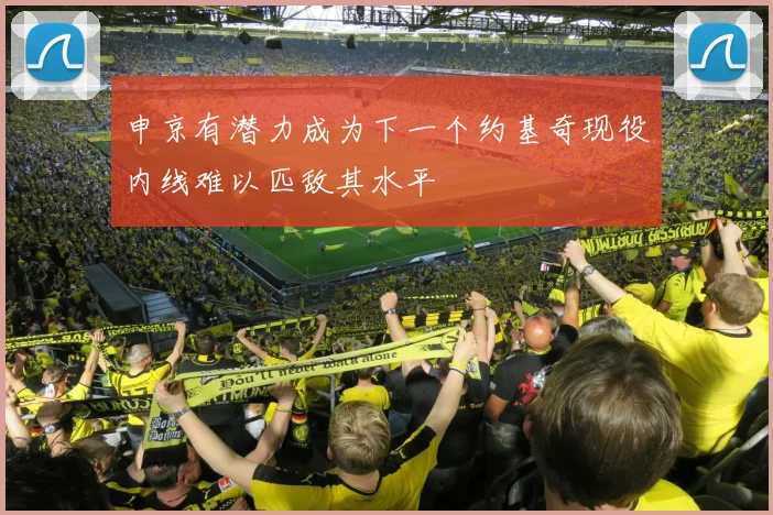 申京有潜力成为下一个约基奇现役内线难以匹敌其水平
