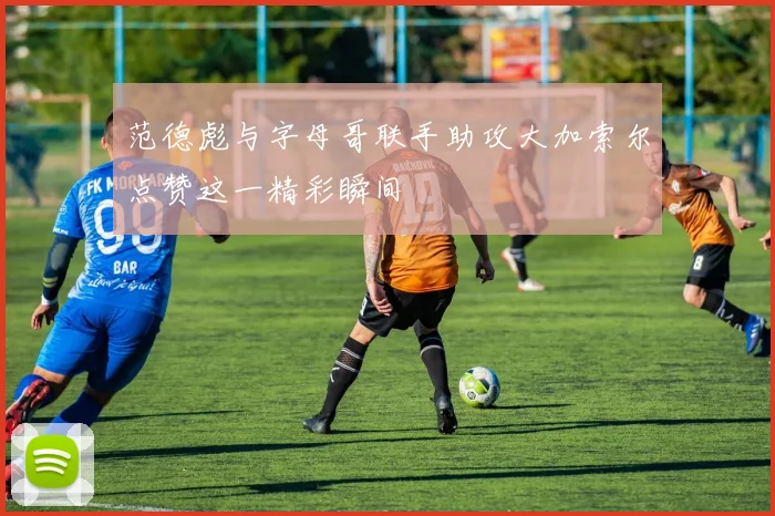 范德彪与字母哥联手助攻大加索尔点赞这一精彩瞬间