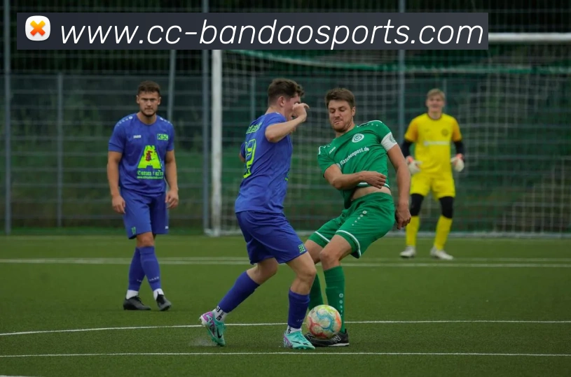 App Interface Preview