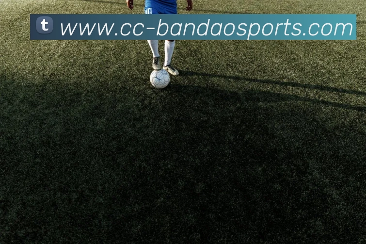 半岛体育APP 封面图