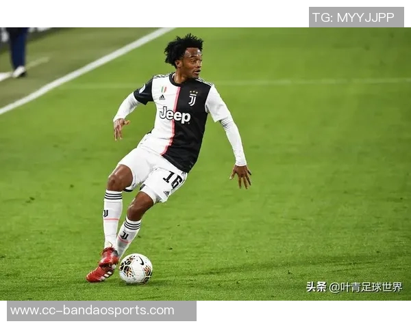 尤文图斯门将平索里奥因左腿腓肠肌受伤将缺席一段时间 尤文图斯门将平索里奥因左腿腓肠肌受伤将缺席一段时间