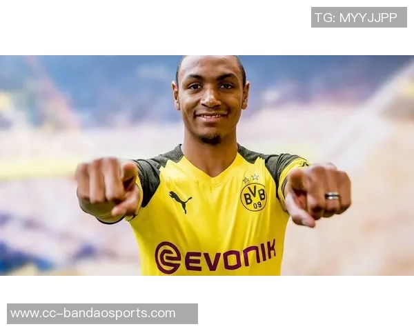 拜仁计划明夏免签弗拉霍维奇球员对此转会表示浓厚兴趣