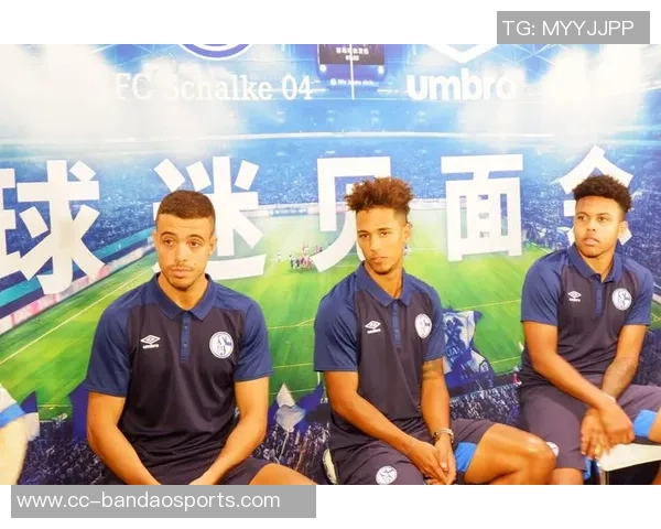 厄德高分享挪威队世界杯大合照梦想成真激励球迷热情无限