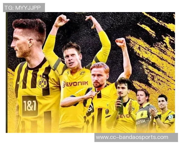 多特蒙德与沃尔夫斯堡争夺图卢兹后卫克雷斯维尔补强中卫阵容