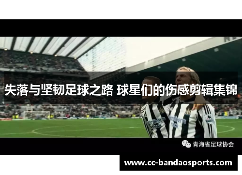 失落与坚韧足球之路 球星们的伤感剪辑集锦