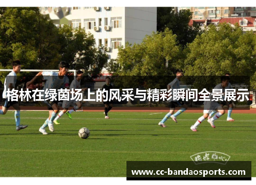格林在绿茵场上的风采与精彩瞬间全景展示