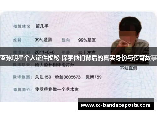 篮球明星个人证件揭秘 探索他们背后的真实身份与传奇故事